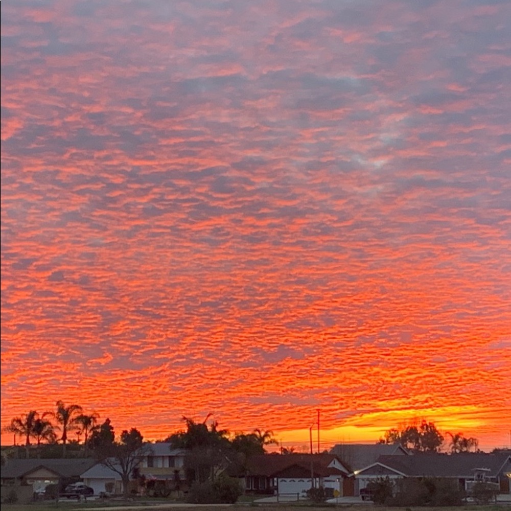 Meet your Posher, Carly